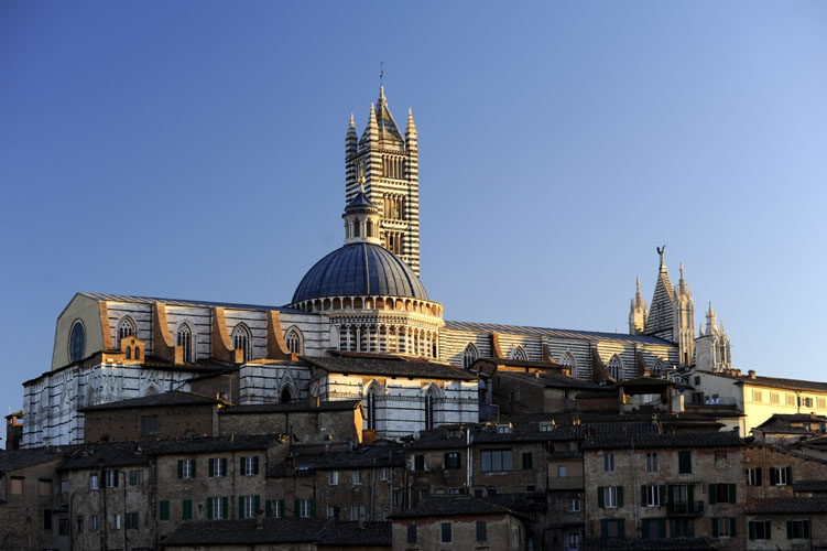 siena in tour local guide for siena and its surroundings